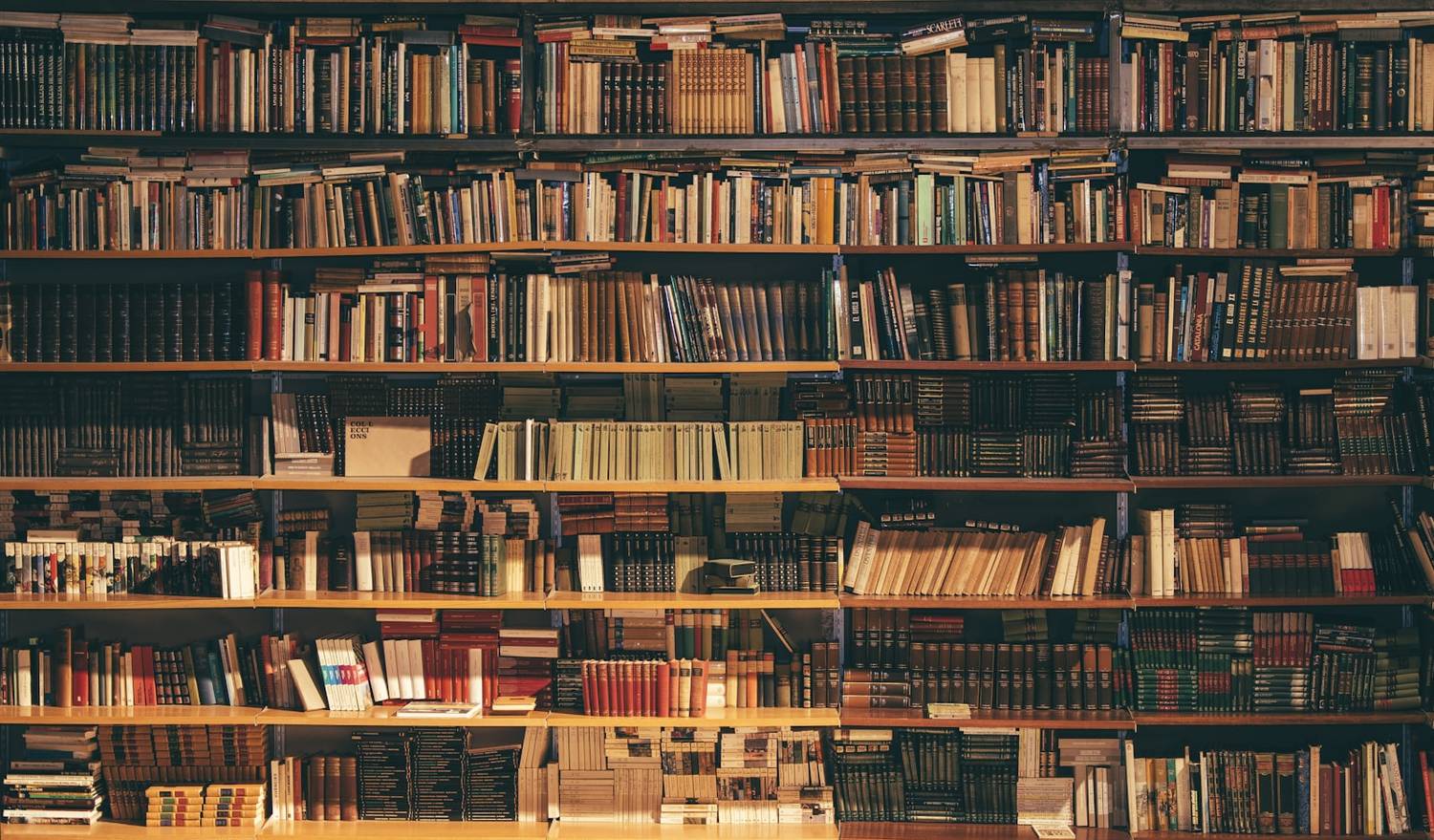 A library of everything still to learn